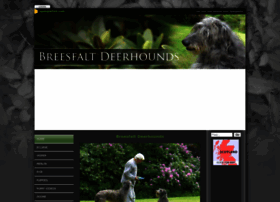 Breesfaltdeerhounds.co.uk thumbnail
