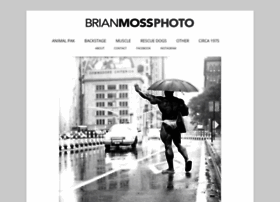 Brianmoss.com thumbnail