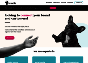 Brindlemarketing.com.au thumbnail