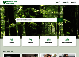 Bronderslev.dk thumbnail