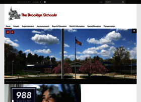 Brooklynschools.org thumbnail