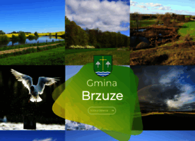 Brzuze.pl thumbnail