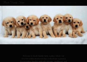 Buckfamilyfarm Com At Wi Golden Retriever Puppies Buck Family Farm