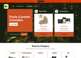 Budmail.com thumbnail