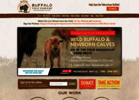 Buffalofieldcampaign.org thumbnail