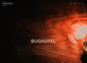 Bug-hotel.com thumbnail