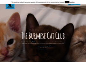 Burmesecatclub.com thumbnail