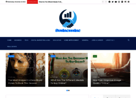 Businesssinc.com thumbnail