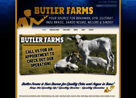 Butlerfarms.us thumbnail