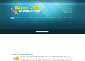 Buzznbs.com thumbnail