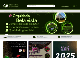 Bvorchids.com.br thumbnail