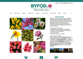 Byfod.com thumbnail