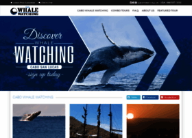 Cabowhalewatching.net thumbnail