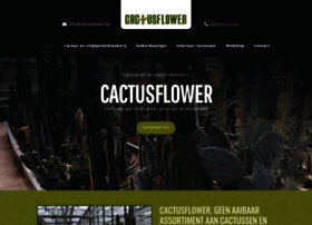 Cactusflower.be thumbnail