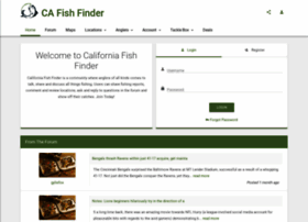 Cafishfinder.com thumbnail
