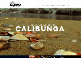 Calibungasurflessons.com thumbnail