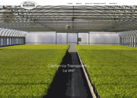 Californiatransplants.com thumbnail