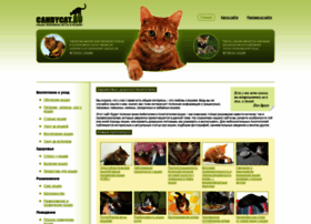 Candycat.ru thumbnail Candycat.ru thumbnail