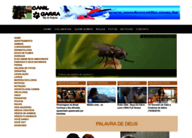 Canilgarra.com.br thumbnail