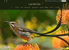 Capebirdclub.org.za thumbnail Capebirdclub.org.za thumbnail