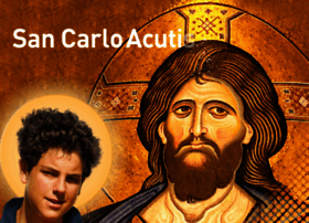 Carloacutis.com thumbnail