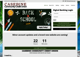 Casebine.com thumbnail