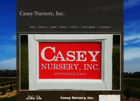 Caseynursery.com thumbnail