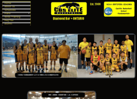Castillobasketballschool.com thumbnail