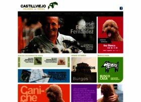 Castillviejo.com thumbnail