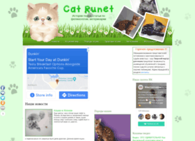 Cat-runet.com thumbnail