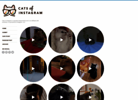 Catsofinstagram.com thumbnail