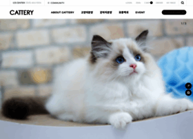 Cattery.co.kr thumbnail