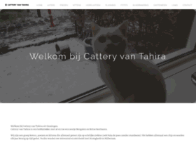Catteryvantahira.nl thumbnail