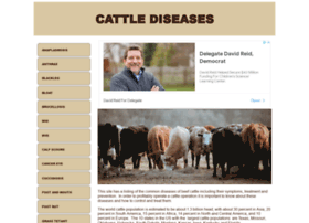Cattletoday.info thumbnail