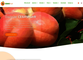 Cebasfruit.com thumbnail