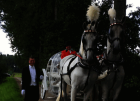 Ceremoniemeesterwen.be thumbnail