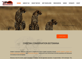 Cheetahconservationbotswana.org thumbnail