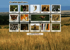 Cheetahspot.com thumbnail