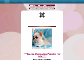 Chihuahuadreams.com thumbnail