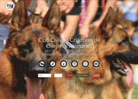 Chilcoa.cl thumbnail