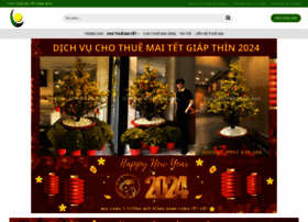 Chothuemaitet.net thumbnail