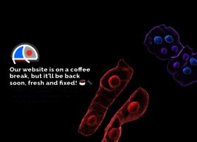 Christiaenlab.com thumbnail