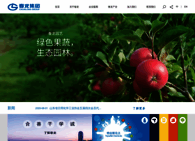 Chunlong.com.cn thumbnail