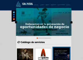Ciceg.org thumbnail