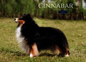 cinnabar shelties
