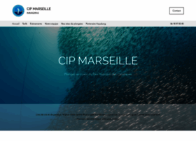 Cip-marseille.fr thumbnail