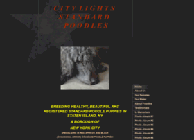Citylightsstandards.com thumbnail
