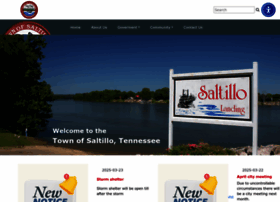 Cityofsaltillo.org thumbnail