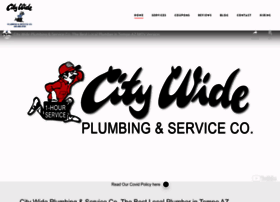 Citywideplumbing.mobi thumbnail
