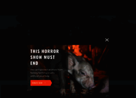 Ciwf.com thumbnail